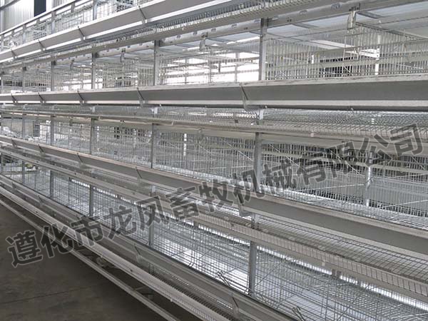 Hot Sale Galvanized Chicken Cage in Africa