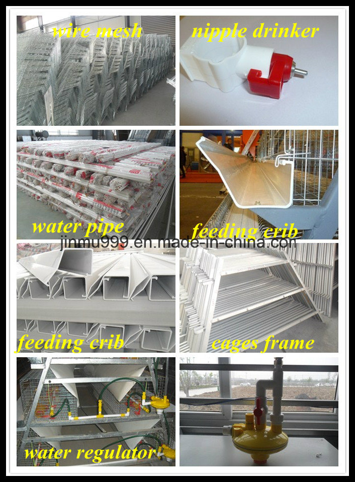 a Type Poultry Chicken Cage for Layer Broiler Pullet