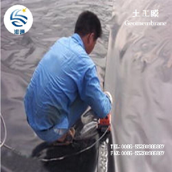 Manufacture Fish Farm Pond Liner HDPE Geomembrane LDPE EVA