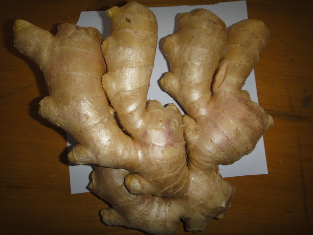 250g and up Air Dry Ginger for EU