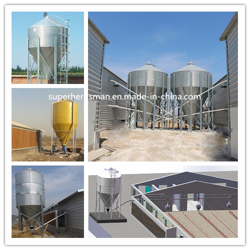 High Quality Poultry Farming Equipment