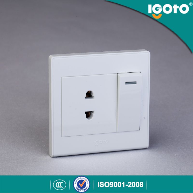 Igoto British Style D2016-1 1 Gang 1 Way Switch and 2 Pin Socket