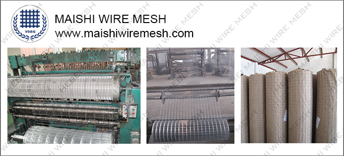 Welded Wire Mesh Rolls