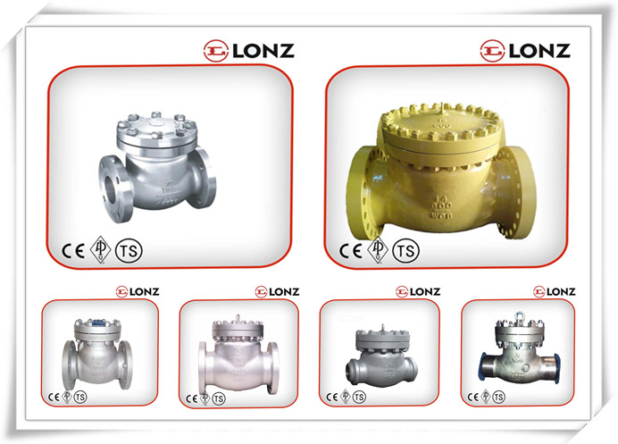 ANSI Bolted Bonnet Stainless Steel Flanged Swing Check Valve