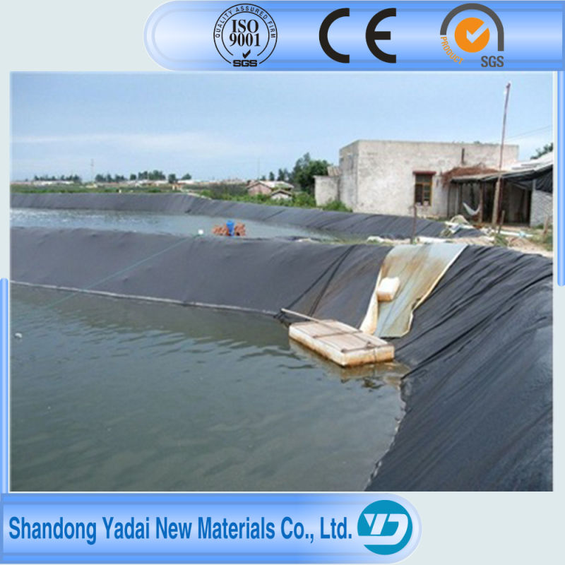 Black LDPE Geomembrane with Thickness 1.5-2.0mm Lotus Roots Used