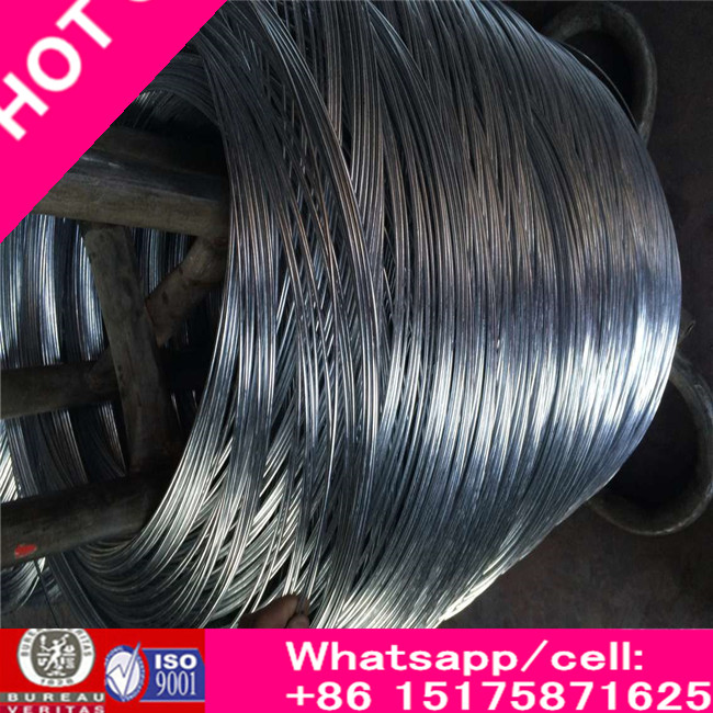 3.05 mm Galvanized Steel Wire for ACSR/ Zinc Coated Steel Wire/High Carbon Tensile Steel/