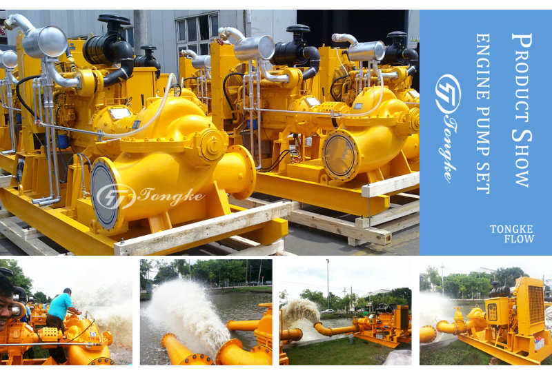 Diesel Engine Water Pump (set) for Irrigation