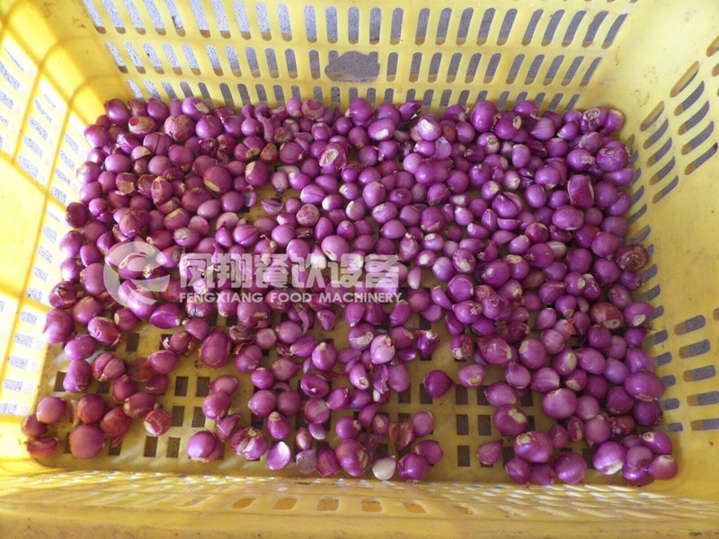 Large Type, Double Barrel Garlic, Shallot Peeler, Peeling Machine Fx-128-2