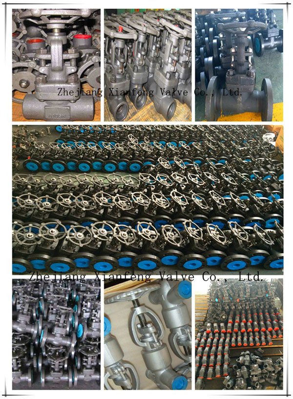 API602 Forged Carbon Steel or Stainless Steel Thread Globe Valve
