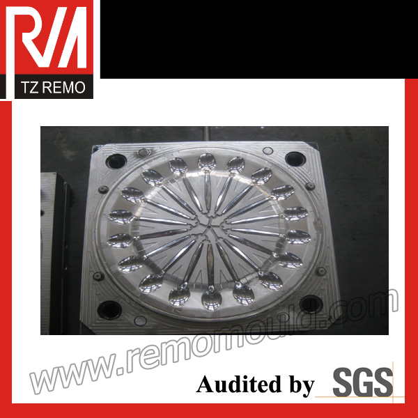 High Quality Plastic Spoon Mould