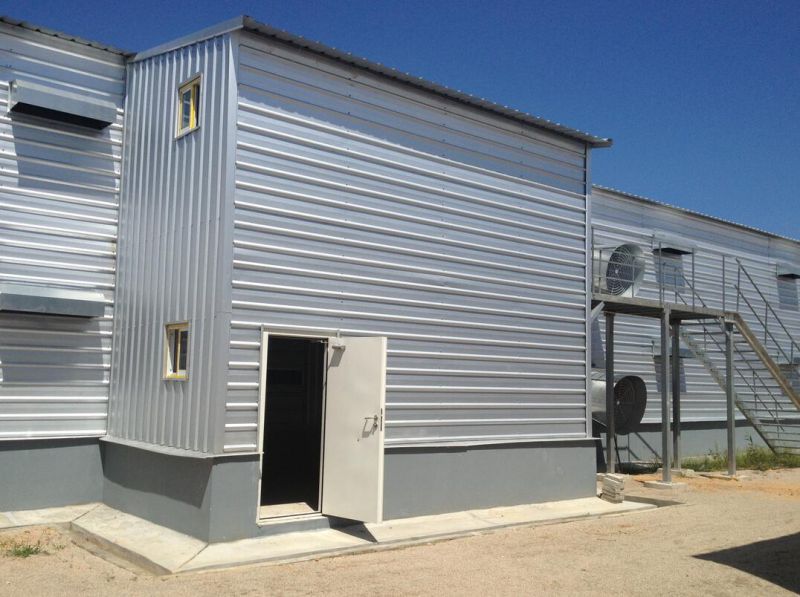 Prefabricated Steel Structure Poultry House/ Chicken House (KXD-SSB59)