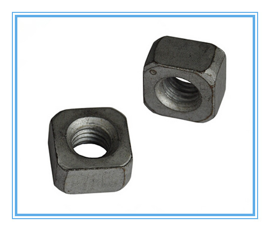 DIN 557 of Thin Square Nut with Stainless Steel