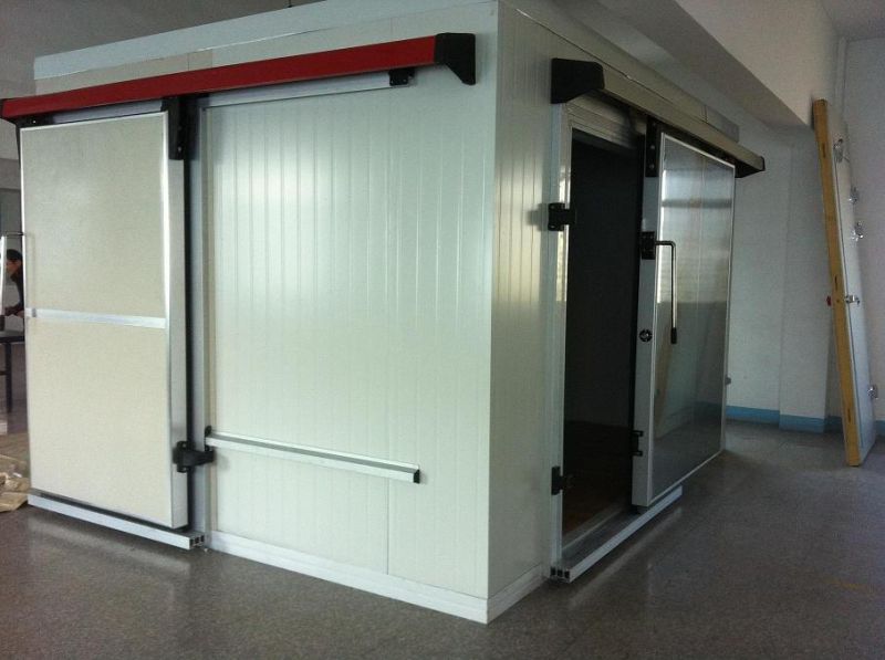 Heat Insulation Cold Room for Meat Storage
