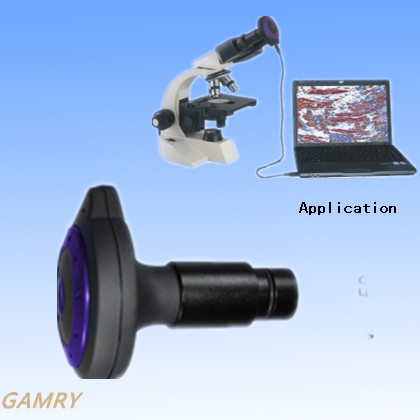 Microscope Accessory Digital Eyepiece (Mvv5000)