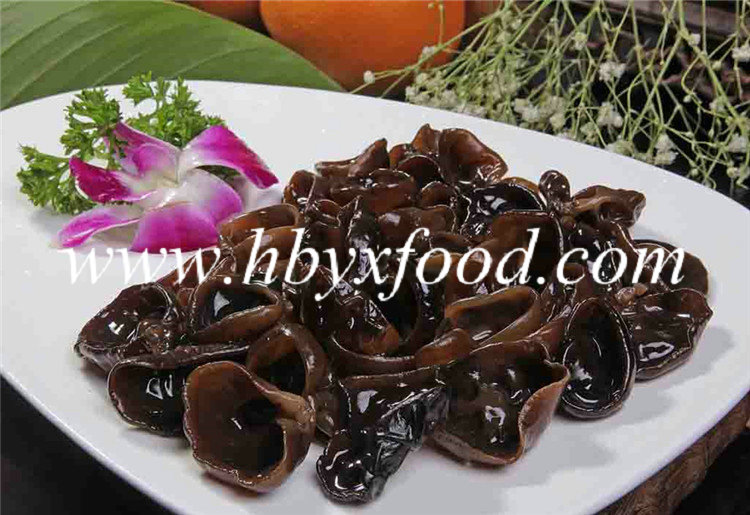 Edible Tree Ear Fungus