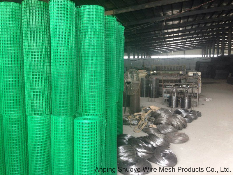 Hot Dipped Galvanized Steel Welded Wire Mesh in Panel