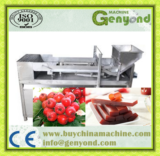 Fruit Dan Skin Production Line Making Machine