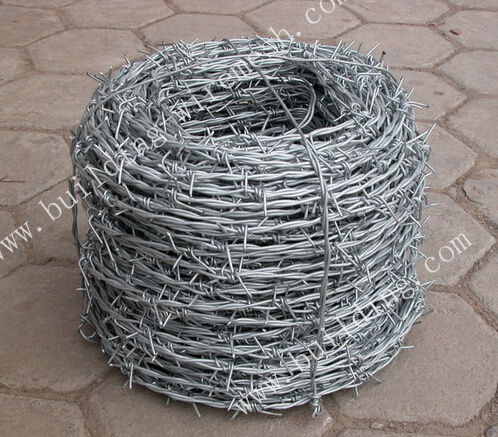 Hot-Dipped Galvanized Barbed Wire Cheap Barbed Wire