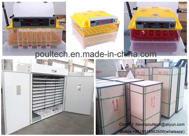 Small Chick Cage and Incubator for Poultry Farms