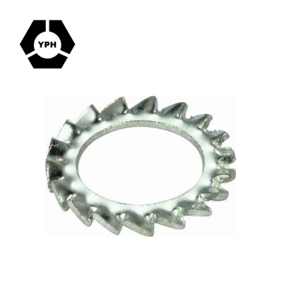 External Teeth Serrated Lock Washer