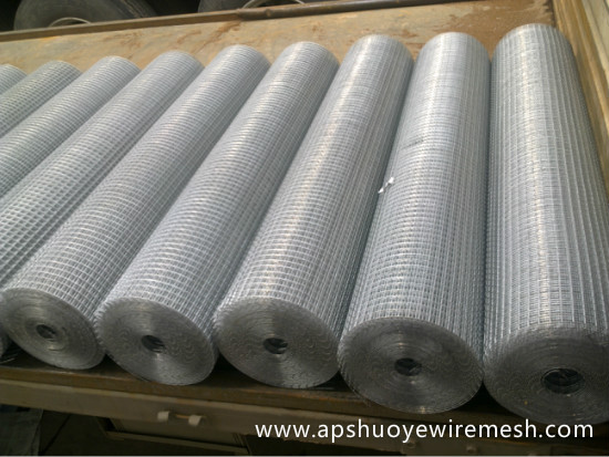 Galvanized Welded Wire Mesh-100' in Roll