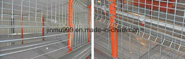 Automatic/Semi-Automatic Poultry Battery Chicken Cage for Longer Use with High Quality