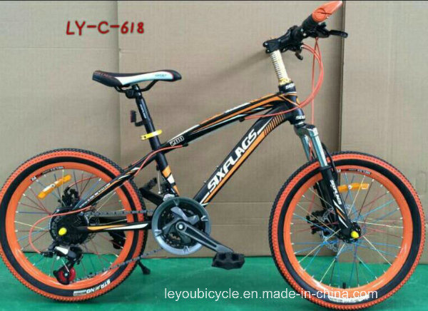 Fashion New Style Adult Fat Bicycle (LY-C-618)