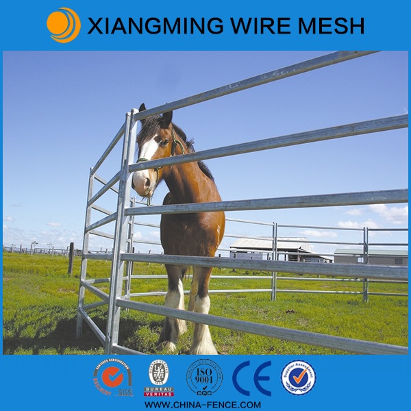 Cheap Galvanized Cattle Panels for Sale