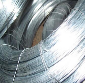 Galvanized Iron Wire with Best Price