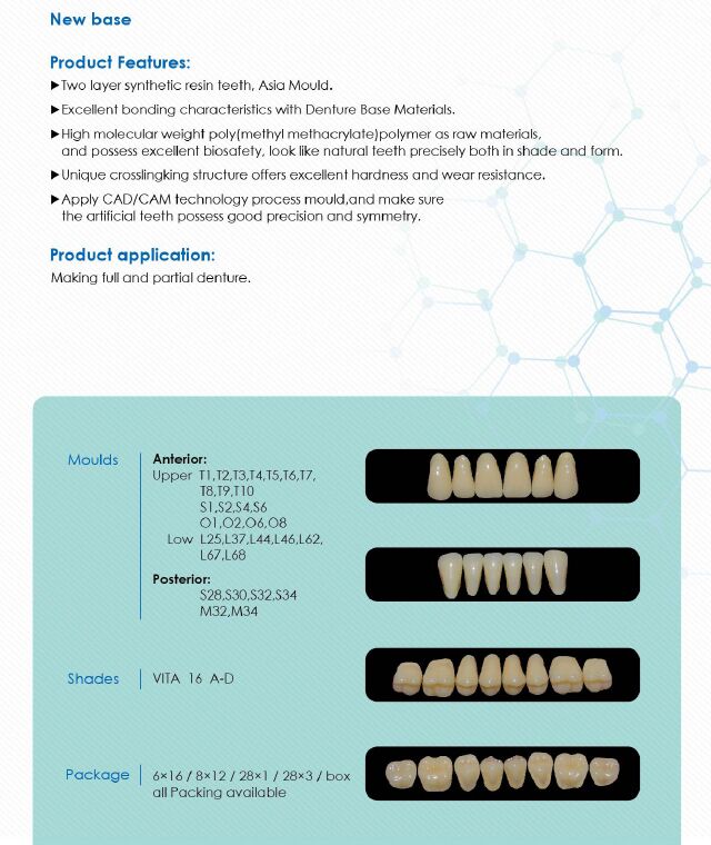 R201 Two Layer Synthetic Resin Teeth