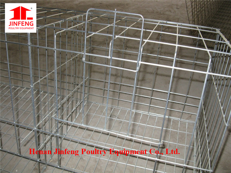 Automatic Poultry Equipment for Layer, Broilers Pullet Raise