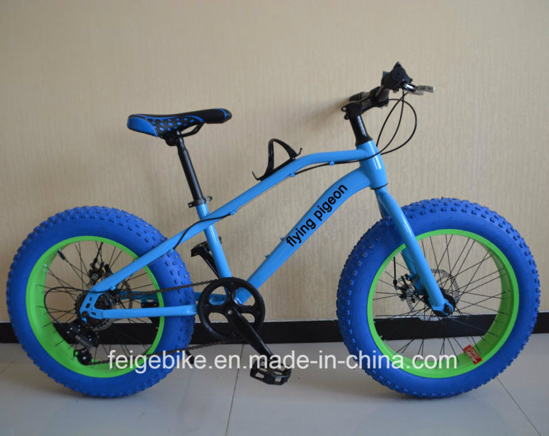 2017 New Model Children Bicycle Teenager MTB (FP-KDB-17030)