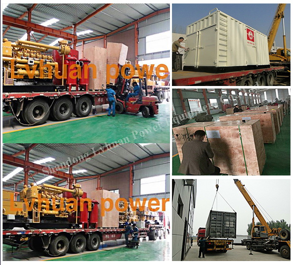 Husk Straws Wood Gasification Biomass Electric Generator/Genset