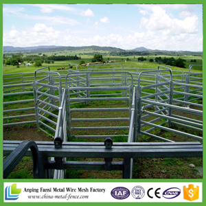 Metal Livestock Portable Steel Tube Corral Fencing / Cattle Panels / Sheep Panel