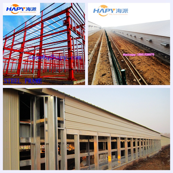 Chicken Cage in Poultry House From Super Herdsman