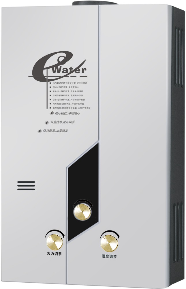 Flue Type Instant Gas Water Heater/Gas Geyser/Gas Boiler (SZ-RS-44)