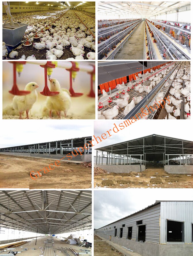 Prefabricated Poultry Farm House for modern Integrated Farm