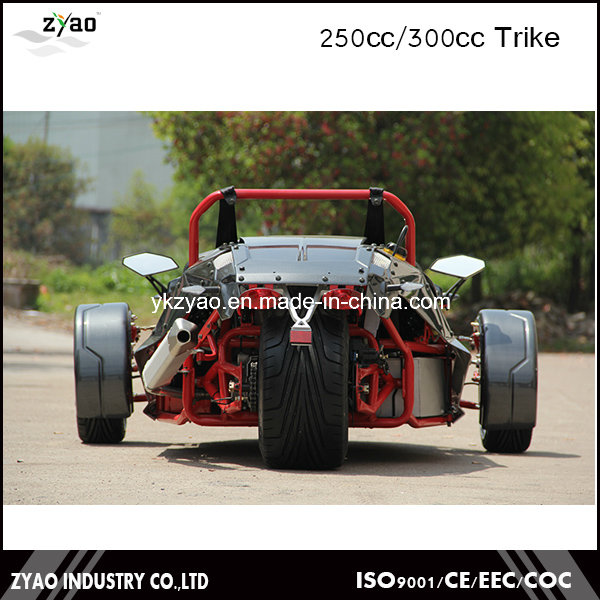 300cc Ztr Trike for Adult Tricycle 24HP Trike Roadster 3 Wheel Car for Sale