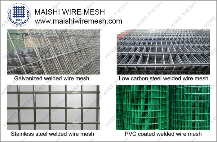 Welded Wire Mesh Rolls