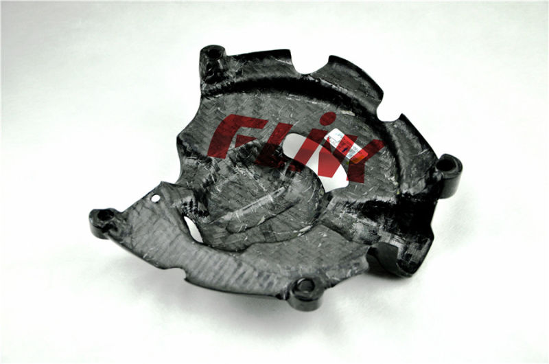 Carbon Fiber Enginer Cover (bIg) for YAMAHA R1 2015