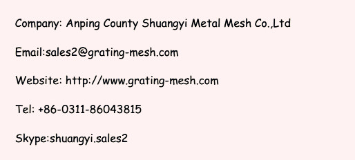 Stainless Steel/ Galvanized/ Plain/Grating for Construction