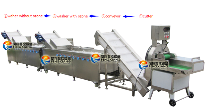 Cwa-2000 Complete Automatic Production Line From Receiving of Fruits and Vegetables to Cutting Washing. Salad Cutting Washing Production Line