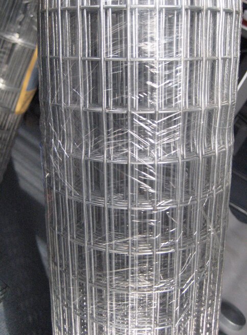 Hot Dipped Galvanzied Welded Wire Mesh