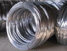 Galvanized Iron Wire (ASE1008)