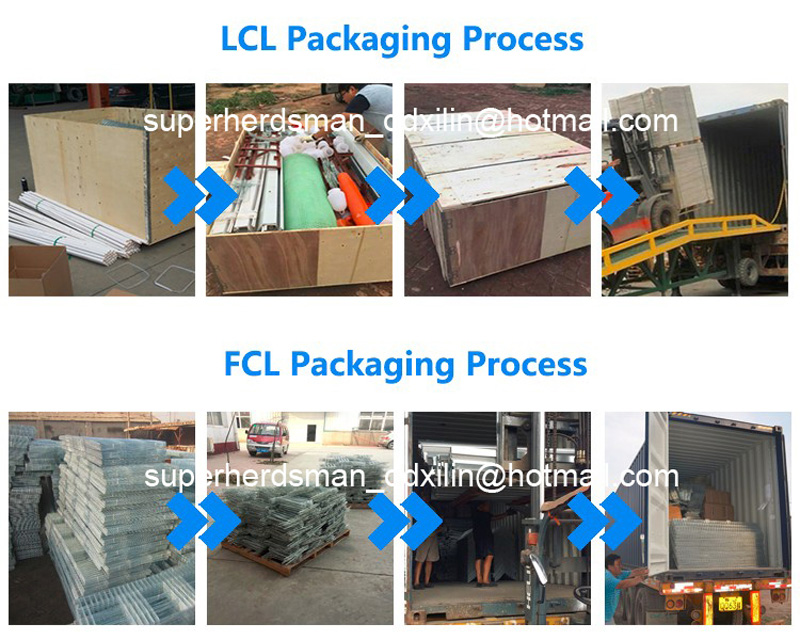 Automatic H Types Galvanized Steel Layer Poultry Cages