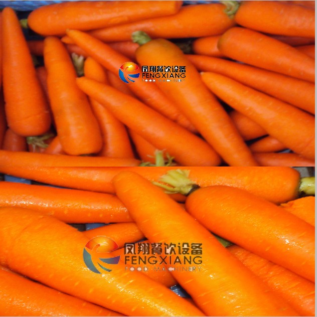 Carrots, Turnips, Radishs Peeler, Peeling Machine Mstp-80