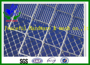 Stainless Steel Wire Mesh (HPZS-1089)