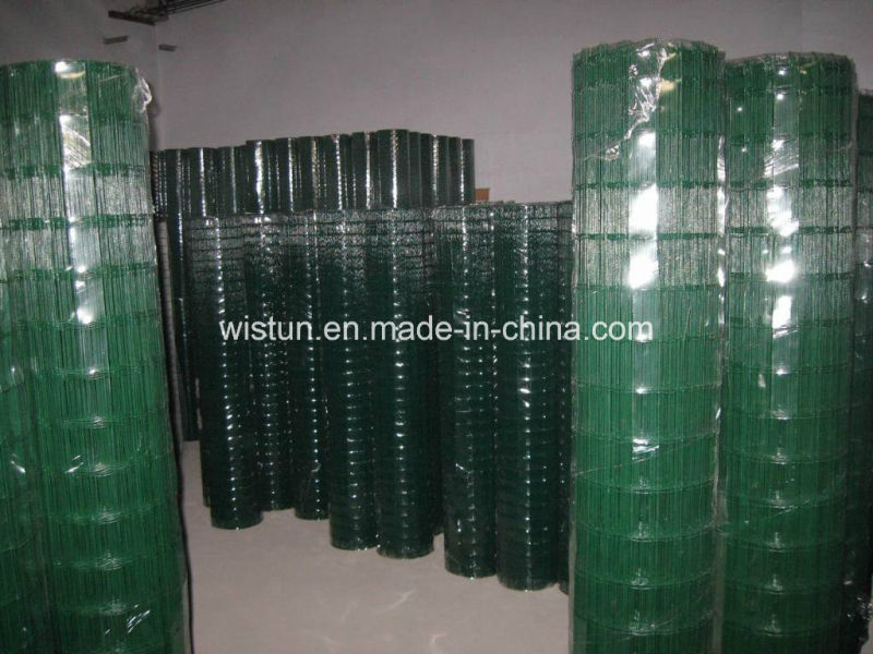 Galvanzied Welded Wire Mesh PVC Coated Welded Wire Mesh Low Price!