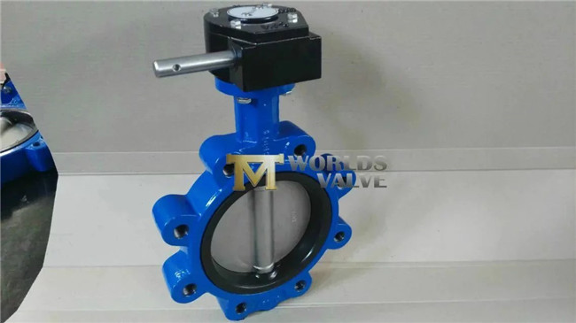 Lug Type Butterfly Valve with CF8m Disc