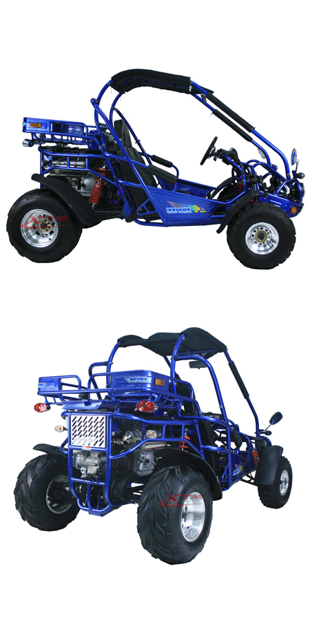 2 Seat EEC Racing Road Right Hand Drive Dune Buggy